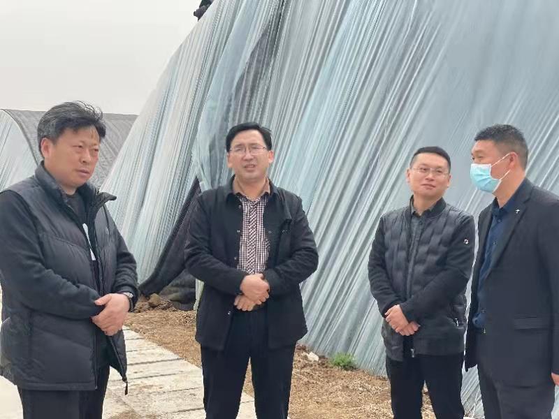 光伏龙头减产力度加码，供需平衡与价格回升初见成效
