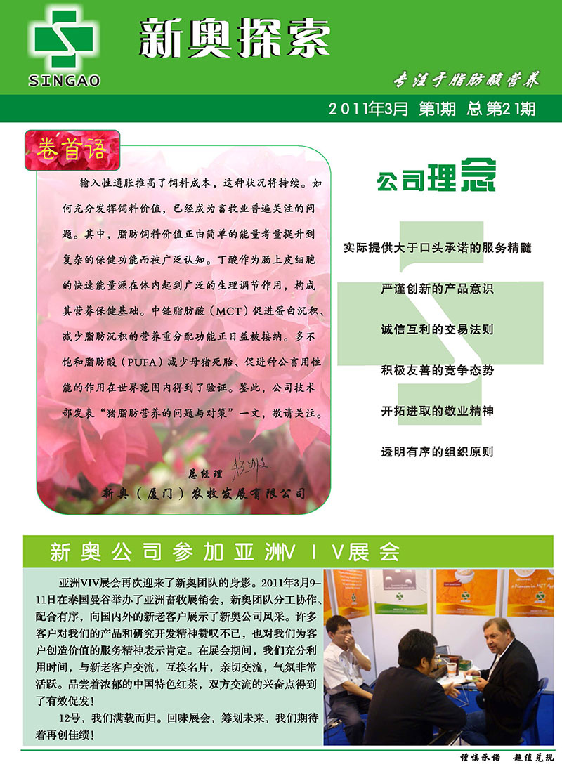 2025-2024新奥精准正版资料|词语释义解释落实